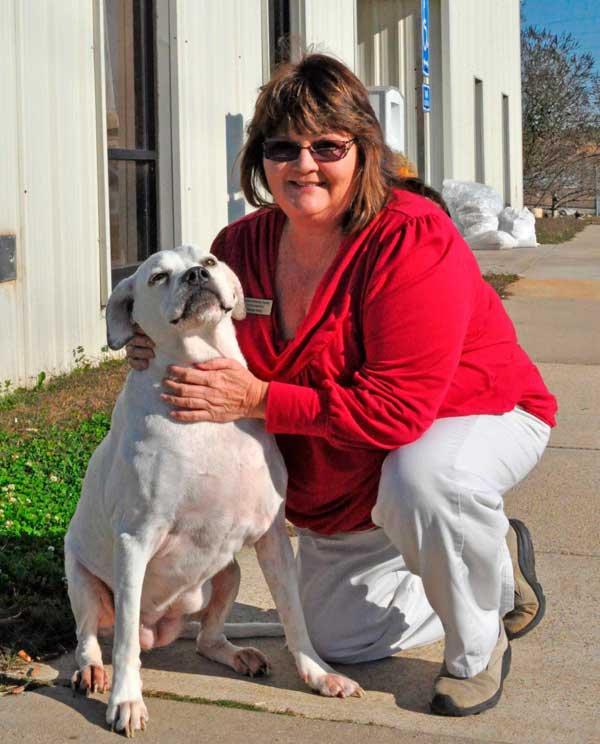 Shelby Humane Society Report 2013 director