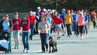LifeSaver Walk for Life planned for Valleydale Church