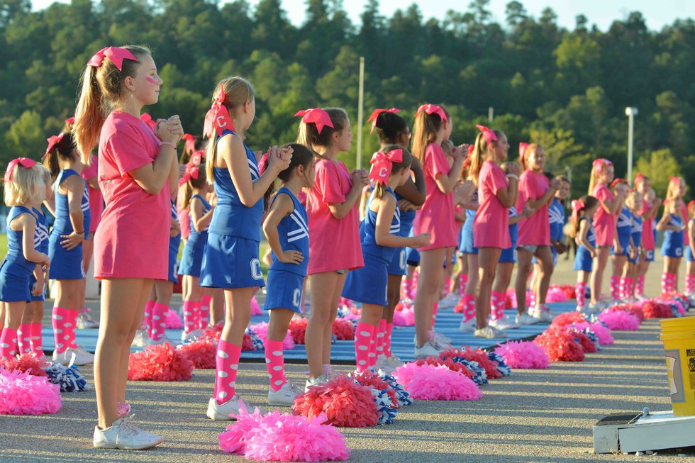 Chelsea Middle School Pink Out.jpg
