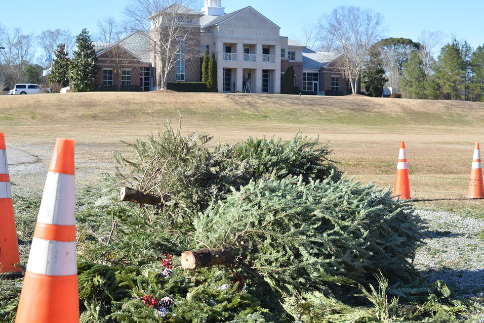 280-Christmas-Tree-Recycling---1.jpg