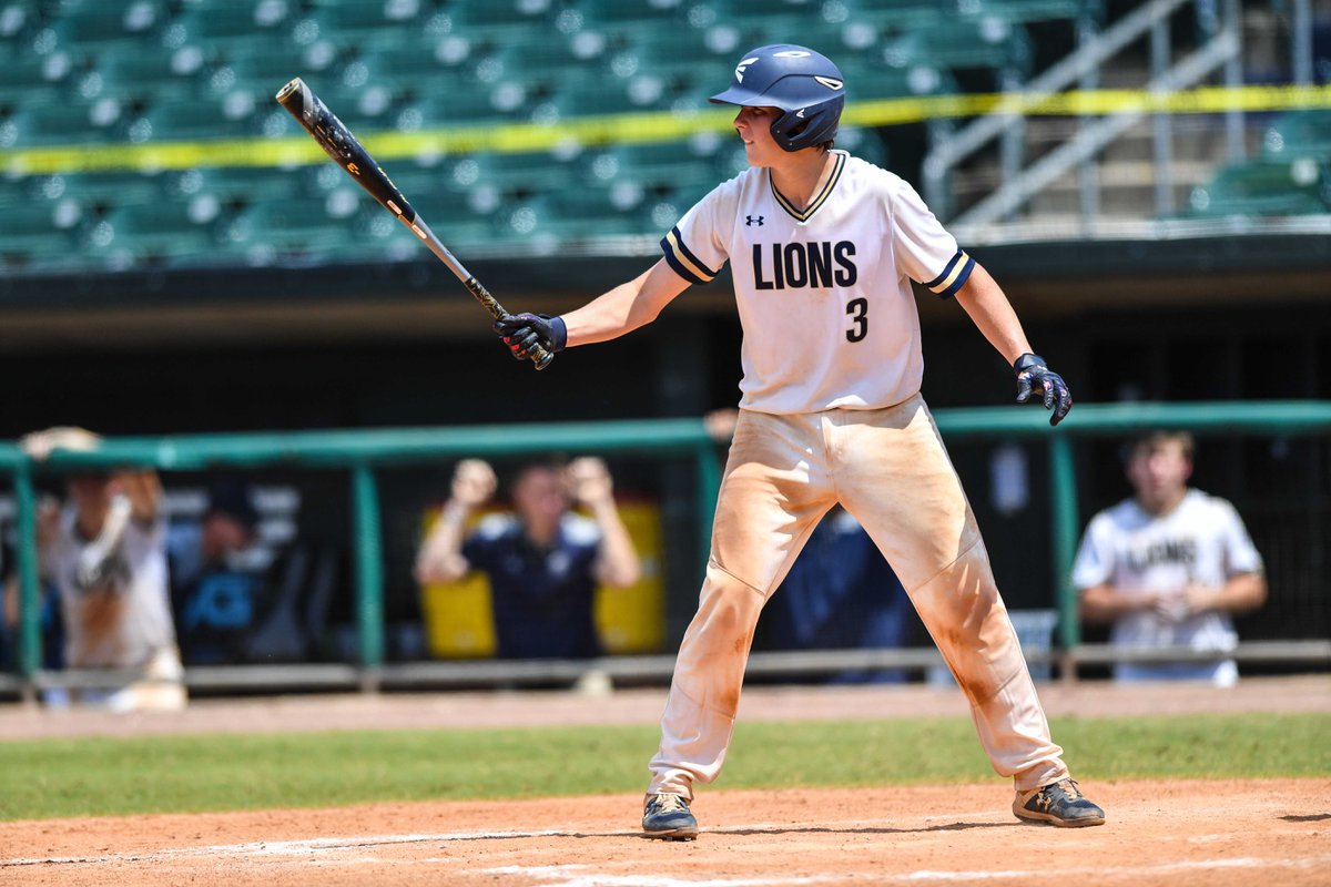Lions baseball falls in state final, finishes runner-up - 280Living.com