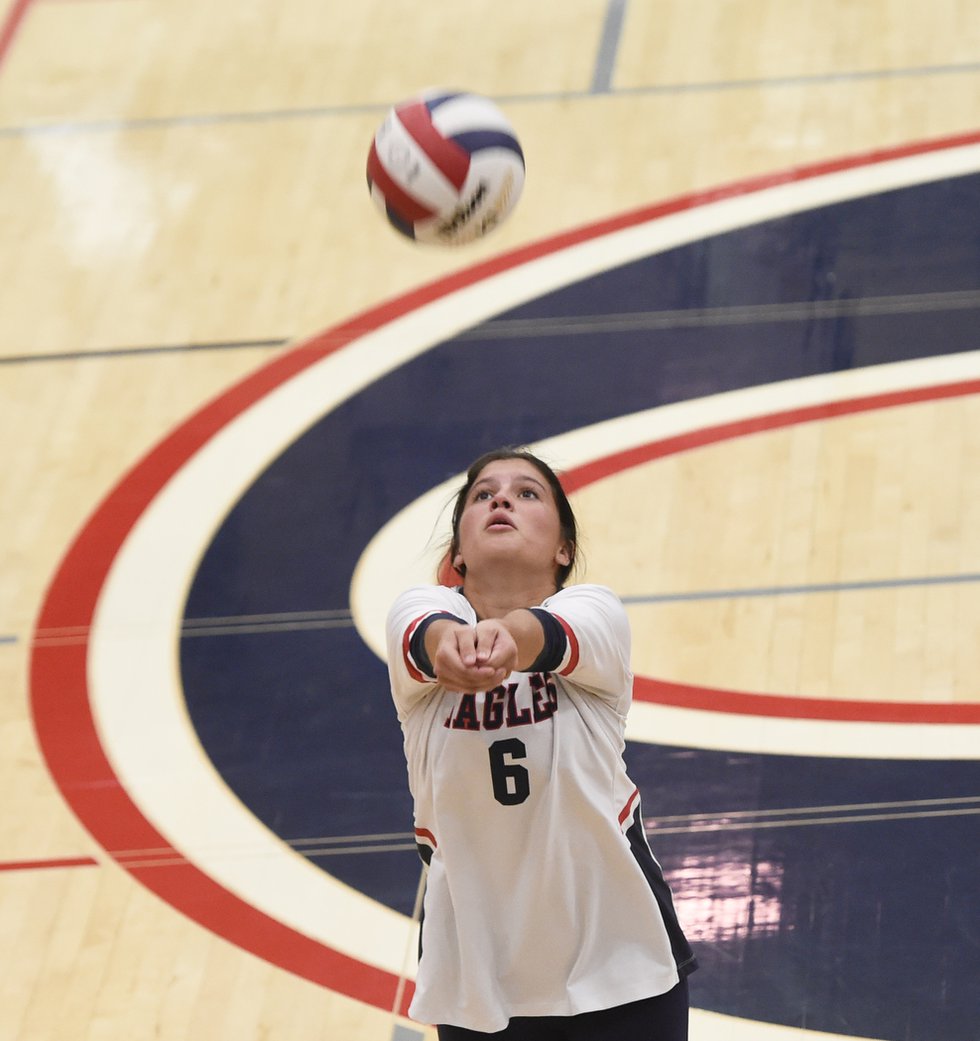 All-South Metro Volleyball: Pohlmann, Allison, Burgess Earn Postseason ...