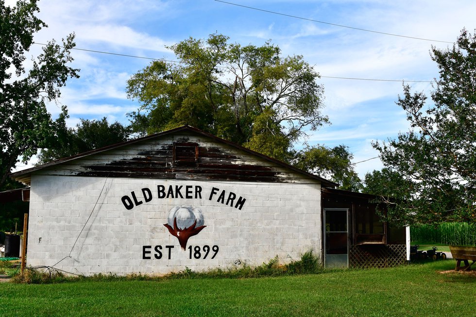 240905_OldBakerFarm.jpg