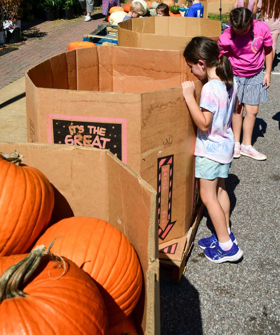 241014_Mt Laurel Fall Festival-49.jpg