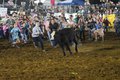 241102_B4K Rodeo_CM-52.jpg