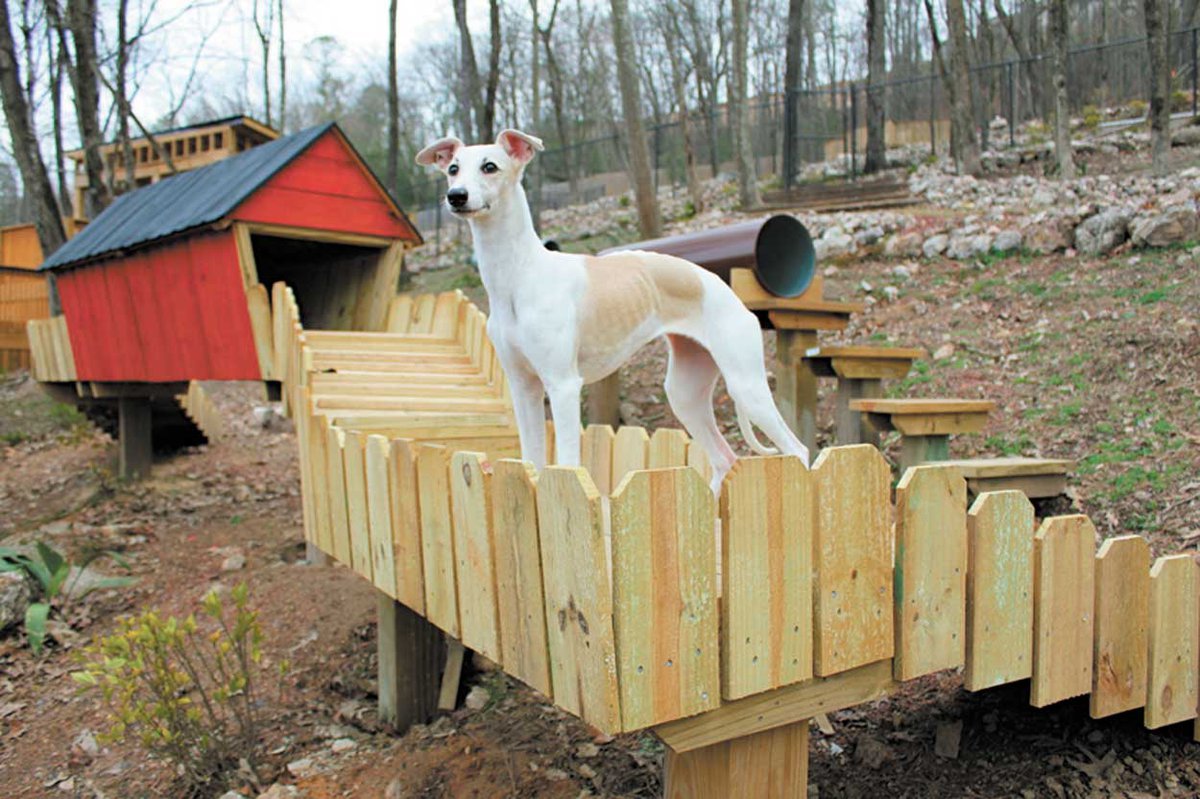 Cahaba Beach Dog Park now open - 280Living.com